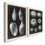 Alabaster Shells III - Ensemble de 2 reproductions d'art sur toile-1893358341-1893358346