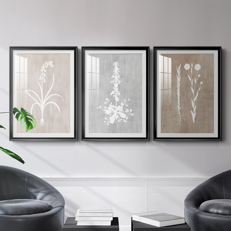 " Botany Beauty I " 3 - Pieces Painting Print, 30.5" H x 45" W x 2.5" D, Black Framed