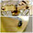 Hazy 3 - Light Dimmable Cylinder Chandelier