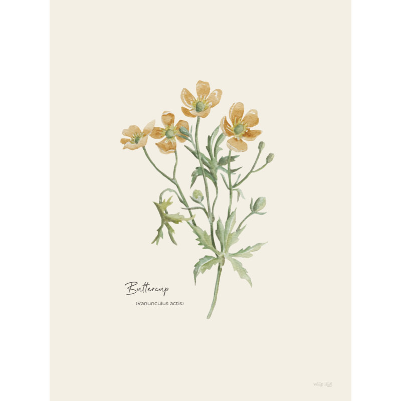 «Jagar Buttercup On Canvas» par Cindy Jacobs, reproduction, H 18 po x l 12 po