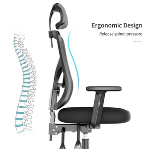 Inbox Zero Appling Ergonomic Task Chair with Headrest & Reviews | Wayfair