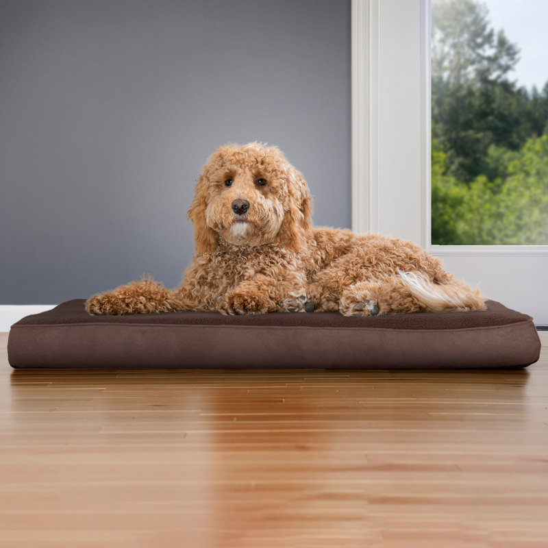 Large Espresso Orthopedic Terry Suede Pet Bed