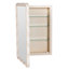 Andy 20'' W Mirrored Medicine Cabinet