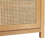 Eilisha 58" 2-Door Sideboard with Arched Rattan Panels-1776197784