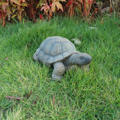 Turtle Statue