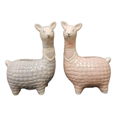Animals Piggy Bank