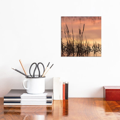 " Cattails At Sunrise, Bosque Del Apache National Wildlife Refuge, New Mexico " by Maresa Pryor