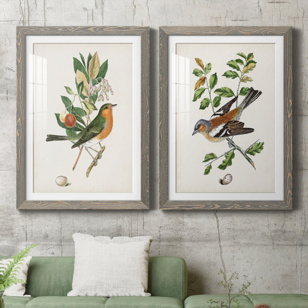 Antique Bird, Botanical and Egg I - 2 Piece Picture Frame Painting Print Set on Paper Red Barrel Studio® 