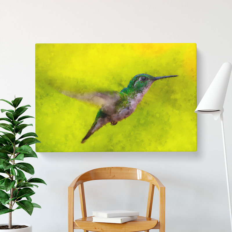 Hummingbird In Costa Rica - Wrapped Canvas, 50cm H x 76cm W x 3cm D