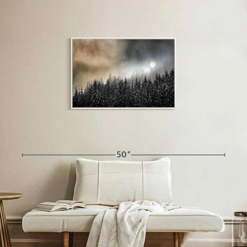 Brume d'hiver, Cadre flottant blanc, 31 po x 21 po