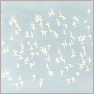 Flight of Passage 2 - Floater Frame Print on Canvas