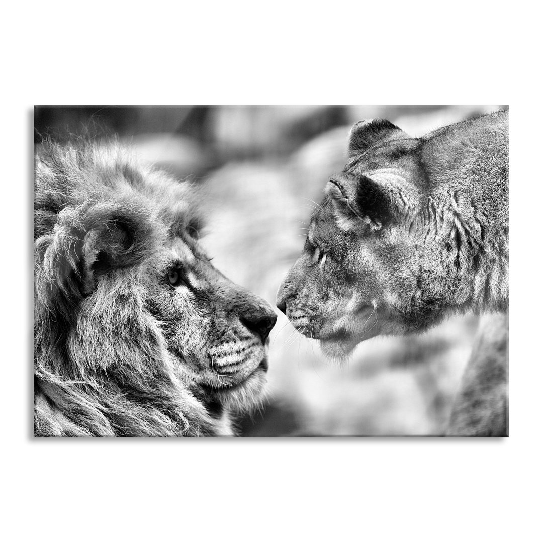 Glasbild Lion Couple in Love