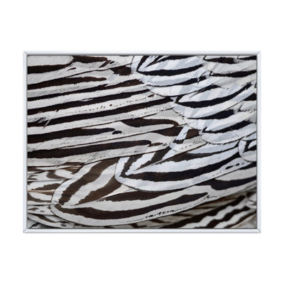 «Silver Pheasant Feathers», peinture sur toile encadrée