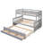 Jarrelle Platform Storage Bed-702885715