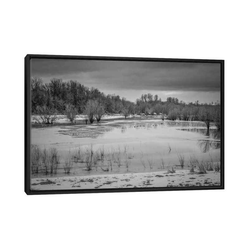 « winter humide ii », reproduction de photo sur toile, H 18 po x l 26 po x P 1,5 po, Toile avec cadre noir