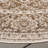 Danya Oriental Beige/Cream Indoor/Outdoor Area Rug-2020702589