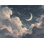 Rouleau double mural ciel nocturne