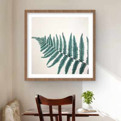 Beautiful Fern - Framed Matted Print for Living Room Decor