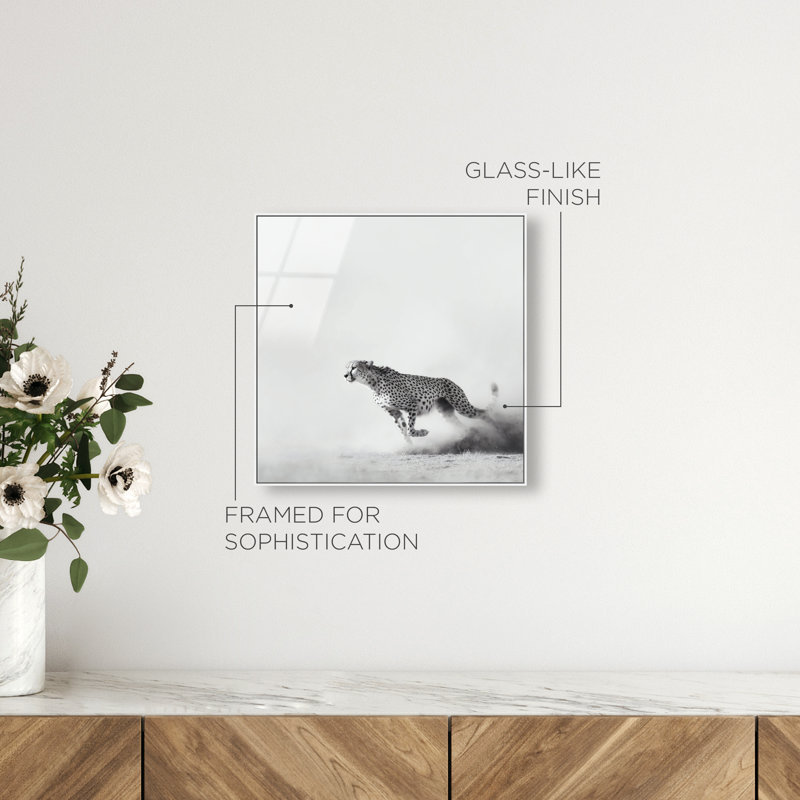 Cheetah Run High-Gloss Frameless Acrylic Glass Wall Art Animals Print by Oliver Gal, Ready to Hang, 12 x 12, 21" H x 21" W