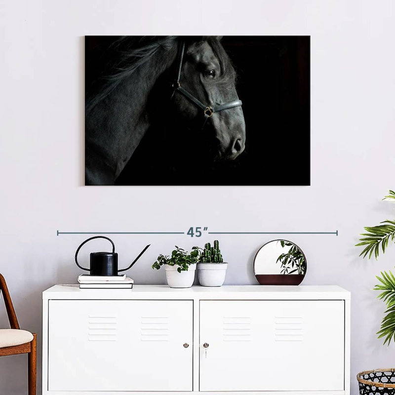 Brampt Horse Head, 24" H x 36" W