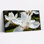 «Magnolia Flowers With Dewdrops», reproduction d'art sur toile tendue sur toile, ensemble de 1