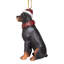 Rottweiler Holiday Dog Ornament