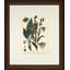 Verde Tinted Botanical II Print