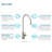 31.5 L x 18.5 W Undermount Kitchen Sink with Faucet