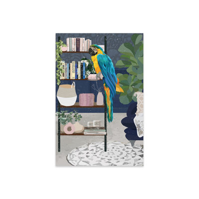 " Macaw Bookshelf " by Sarah Manovski