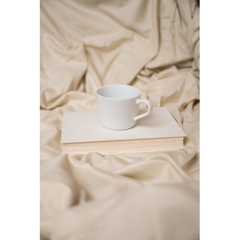 Ensemble de draps en rayonne de bambou 4 pièces Sleep, Ensemble de draps pour très grand lit avec 2 taie, Crème, crème