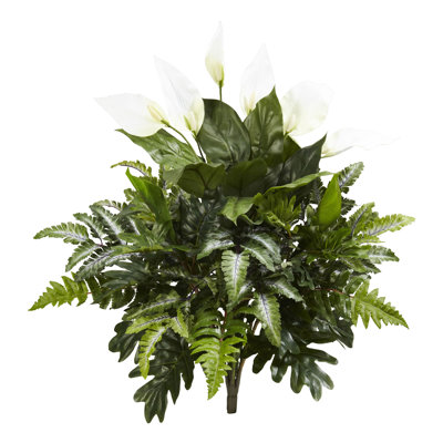 Plante à feuillage de bureau mixte Spathiphyllum