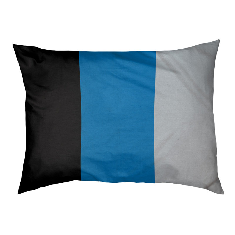 Coussin Designer, Grand (L 40 po x l 50 po), Noir / bleu / argent