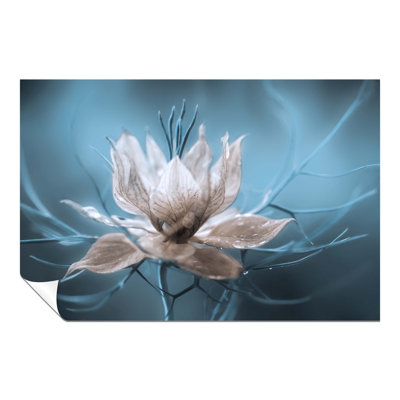 Panther Print Fine Art Prints - No Frame Print