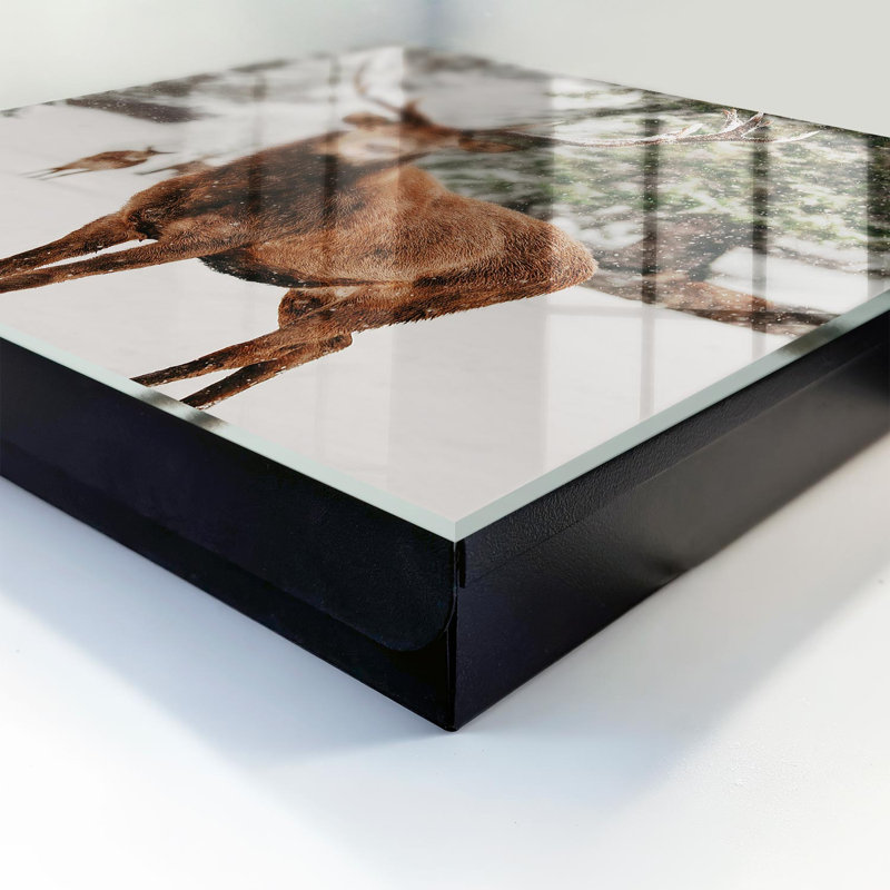 Key box for home, Opens to the right, 30x30x5, White, Deer in a winter-snow landscape, 