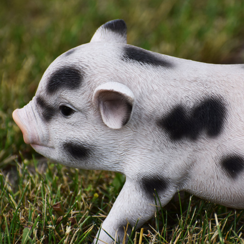 Statue porc pour bébé debout, Taches noires