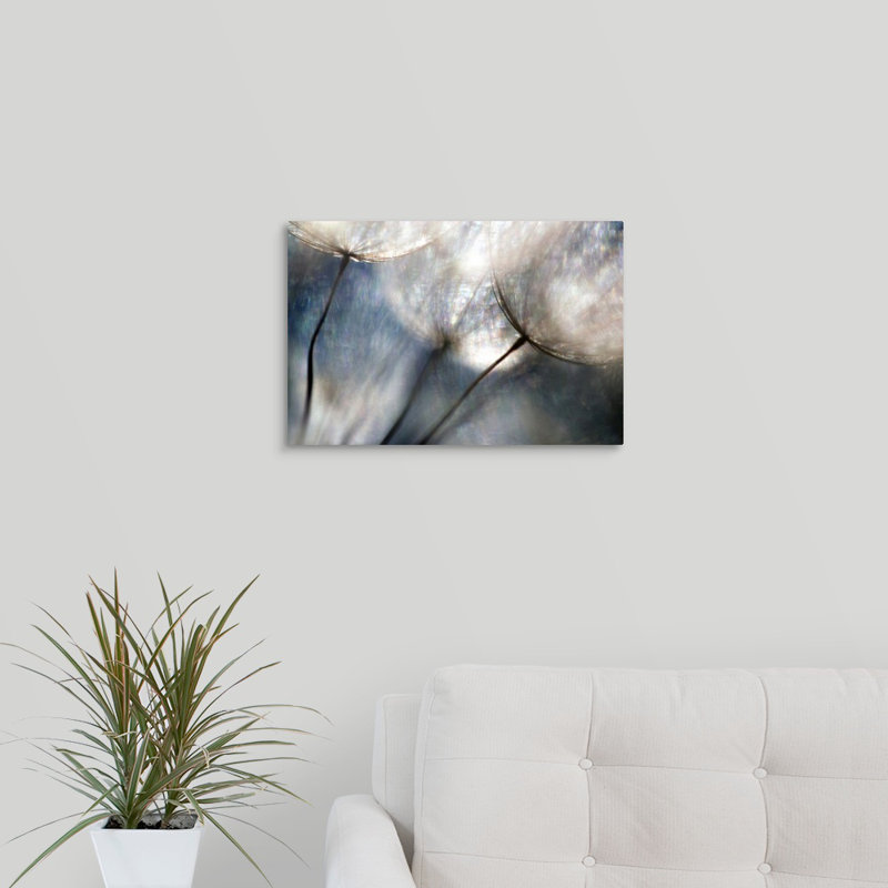 «Carefree» par Ursula Abresch, reproduction sur toile, H 12 po x l 18 po x P 1,5 po