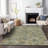 Machine Washable Indoor/Outdoor Jocelyn ACN2128 Floral Rug-1286144156