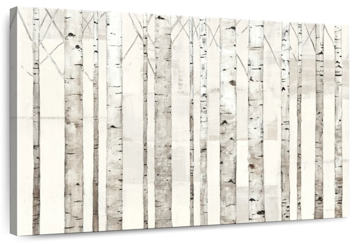 Millwood Pines Alvord Birch Trees On White | Wayfair