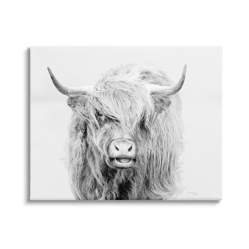 " Expressive Highland Cattle Monochrome Animal Portrait " by Jennifer Pugh, Wrapped Canvas, 36" H x 48" W x 1.5" D