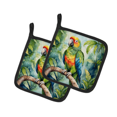 Amazon Parrot Pair of Pot Holders