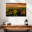 Champ de tournesols d'Alvord, Californie-107723926