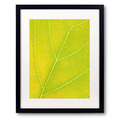 Autumn Leaf by Philippe Monthoux