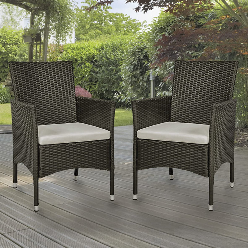 Laplante Wicker Outdoor Lounge Chair