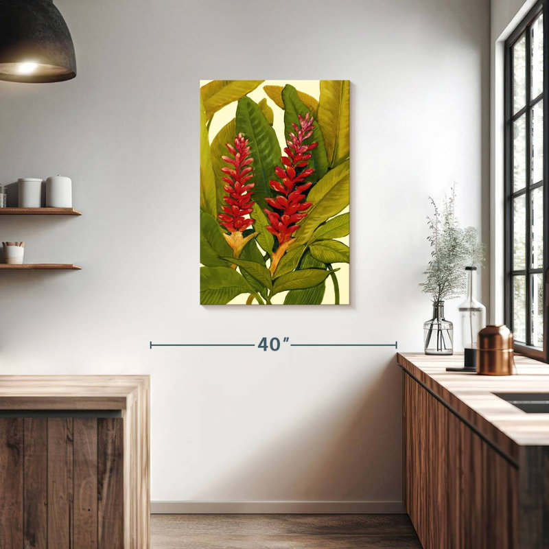 Gingembre rouge Harnek, H 36 po x l 24 po