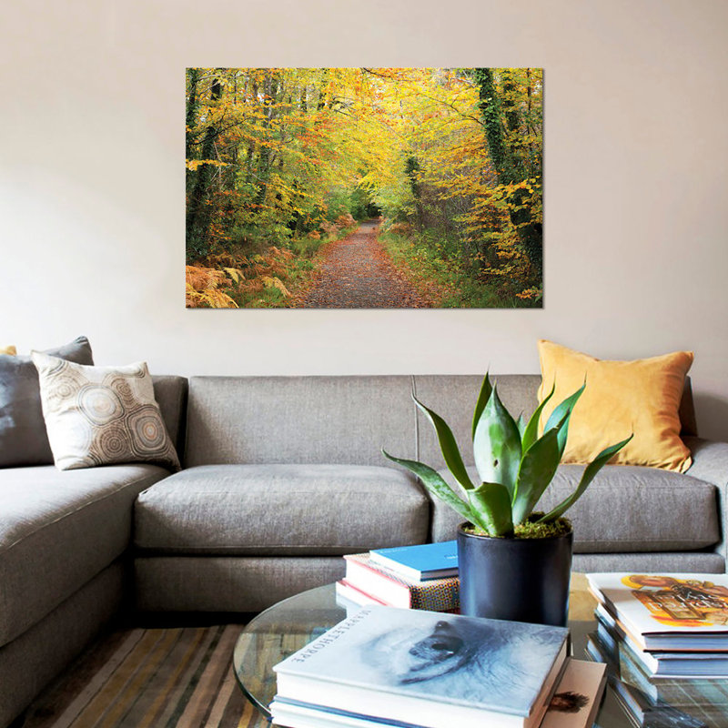«Autumn Walking Path in Tourmakeady Woods County Mayo Ireland», reproduction de photo sur toile, H 26 po x l 40 po x P 1,5 po