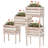 Glenne Wood Raised Garden Bed