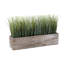 Plante artificielle