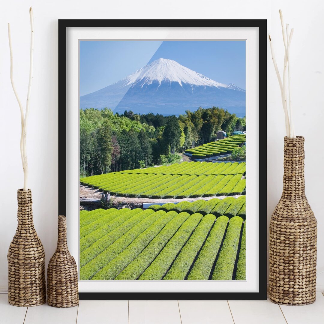 Gerahmtes Papierbild Teefelder vor dem Fuji