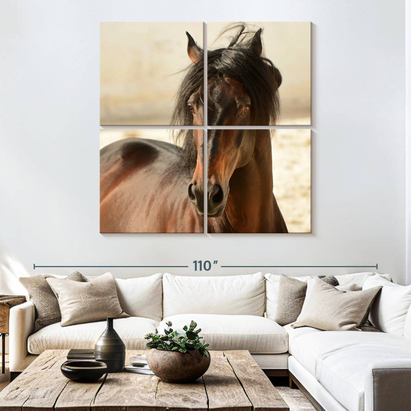 Brampt Brown Casanova, 74" H x 74" W