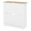 16 Pair Shoe Storage Cabinet